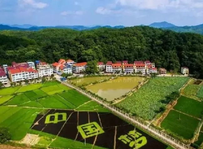 美麗鄉(xiāng)村展廳設計構(gòu)思與展望></a>
					</div>
					<div   id=